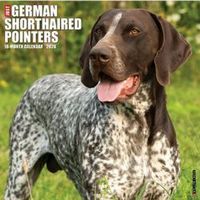 2026 German Shorthaired Pointers Calendar