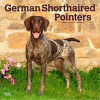 2026 German Shorthaired Pointers Calendars