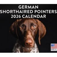 2026 German Shorthaired Pointers Calendar