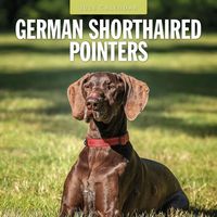 2026 German Shorthaired Pointers Calendar
