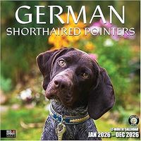 2026 German Shorthaired Pointers Calendar