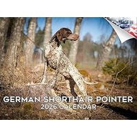 2026 German Shorthaired Pointers Calendar