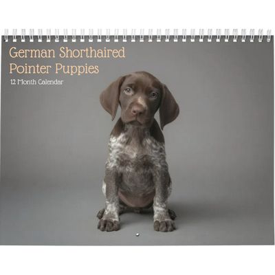 German Shorthaired Pointers 2027 Wall Calendar