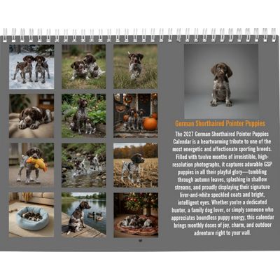German Shorthaired Pointers 2027 Wall Calendar