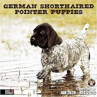2026 German Shorthaired Pointers Calendar