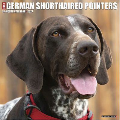 German Shorthaired Pointers 2027 Wall Calendar
