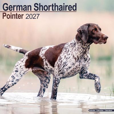 German Shorthaired Pointers 2027 Wall Calendar