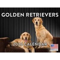 Golden Retrievers 2026 Calendar