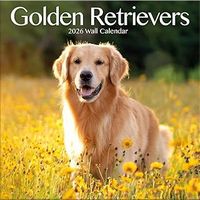 Golden Retriever Calendars