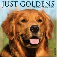 Just Goldens 2026 Wall Calendar