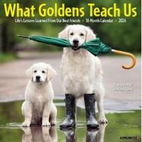 What Goldens Teach Us 2026 Wall Calendar