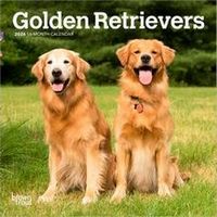 Golden Retrievers 2026 Calendar