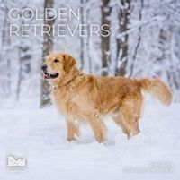 Golden Retrievers 2026 Wall Calendar