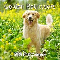 Golden Retrievers 2026 Wall Calendar