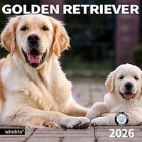 Golden Retrievers 2026 Wall Calendar