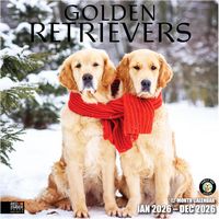 Golden Retrievers 2026 Wall Calendar