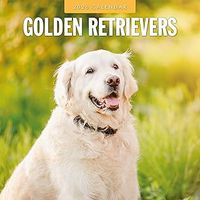 Golden Retrievers 2026 Wall Calendar