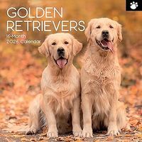 Golden Retrievers 2026 Wall Calendar