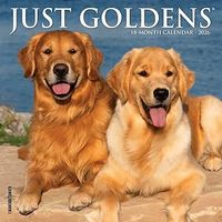 Golden Retrievers 2026 Wall Calendar