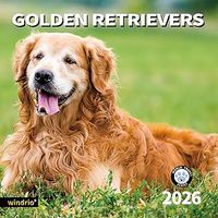 Golden Retrievers 2026 Wall Calendar