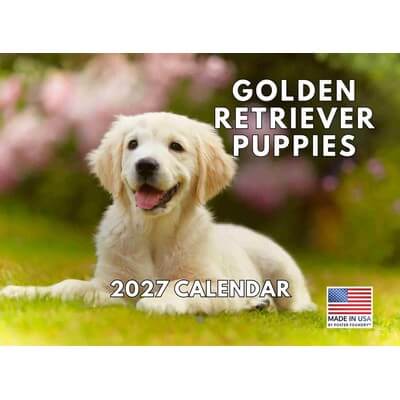 Golden Retriever Puppies 2027 Wall Calendar