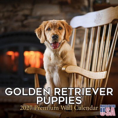 Golden Retriever Puppies 2027 Wall Calendar
