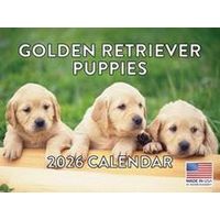 Golden Retriever Puppies 2026 Calendar