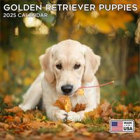 Golden Retriever Puppies 2026 Calendar
