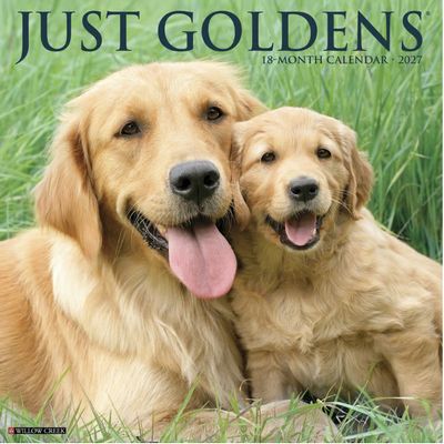 Just Goldens 2027 Wall Calendar