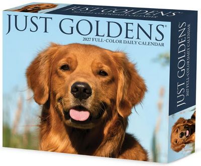 Just Goldens 2027 Desk Calendar