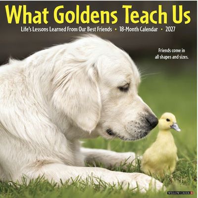 What Goldens Teach Us 2027 Wall Calendar