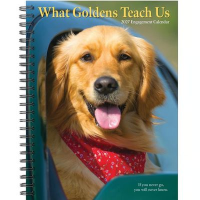 What Goldens Teach Us 2027 Engagement Planner