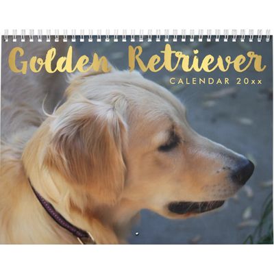 Golden Retrievers 2027 Calendar