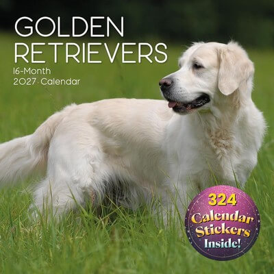 Golden Retrievers 2027 Calendar