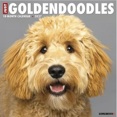Goldendoodles 2027 Wall Calendar