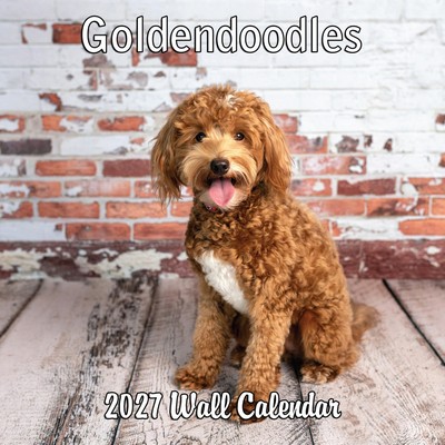 Goldendoodles 2027 Wall Calendar