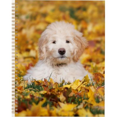 Goldendoodle Puppy In Fall Leaves Planner