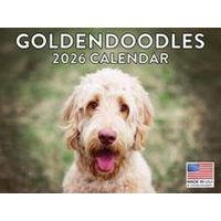 Goldendoodles 2026 Calendar