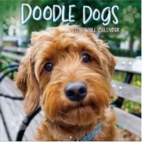 Doodle Dogs 2026 Calendar