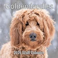Goldendoodles 2026 Calendar