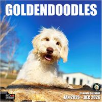 Goldendoodles 2026 Calendar