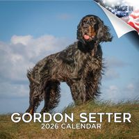 Gordon Setter 2026 Calendar