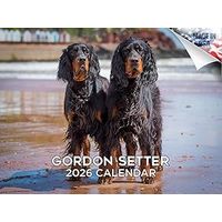 Gordon Setter 2026 Calendar