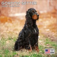 Gordon Setter 2026 Calendar