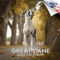 Great Danes 2026 Calendar
