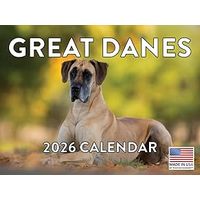 Great Danes 2026 Calendar