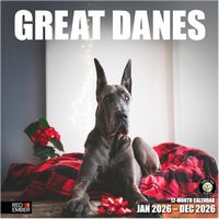 Great Danes 2026 Calendar