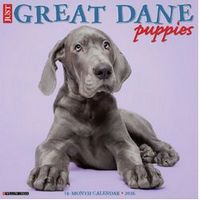 Great Dane Puppies Calendar