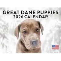 Great Dane Puppies 2026 Wall Calendar