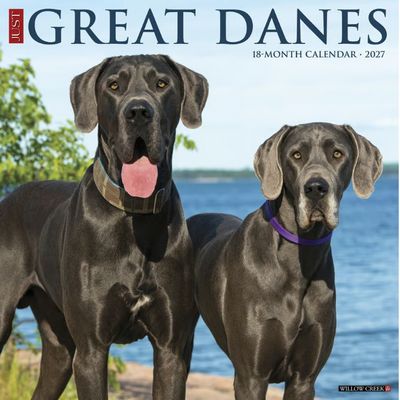 Great Danes 2027 Wall Calendar